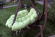 Подушки для подвесных кресел CARTAGENA (Картагена) цвет нежно зеленый
